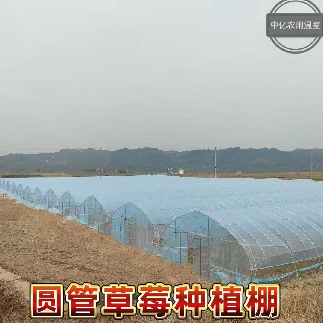 温室大棚骨架钢管蔬菜种植养猪场牛棚羊圈椭圆管养殖大棚配件全套