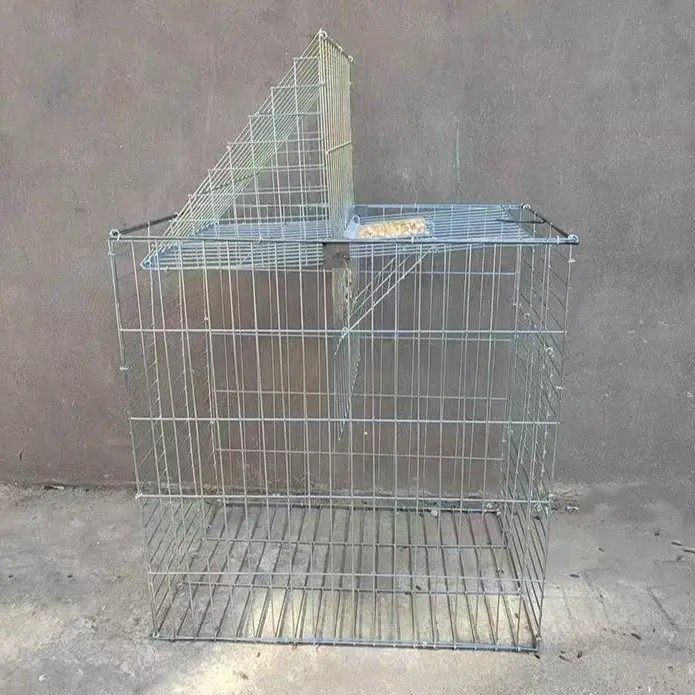 云落鸽笼家用自动旋转笼翻转笼翻板笼加粗鸽子笼养殖场专用,宠物/宠物食品及用品,宠物鸡/鸭/鸽笼,淘宝优惠券,粉丝福利购,淘宝优惠卷