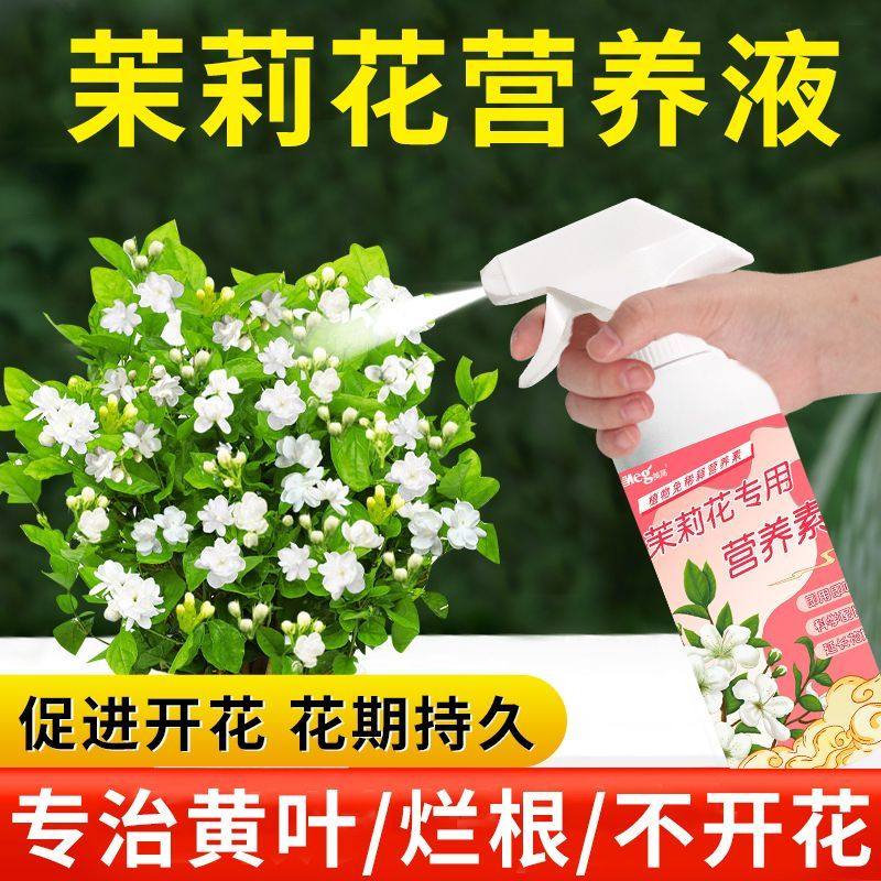 茉莉花专用营养液家用盆栽水培催花促花花卉绿植通用免稀释营养液,鲜花速递/花卉仿真/绿植园艺,家庭园艺肥料,淘宝优惠券,粉丝福利购,淘宝优惠卷