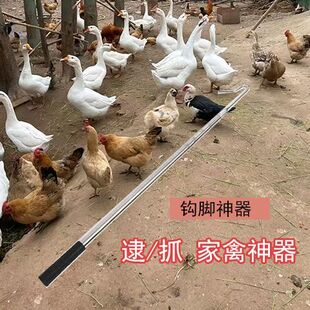 抓鸡神器逮鸡钩子捉鸡工具养殖场捕鸡捕鸭捕鹅脚套捉鸡钩户外捕捉