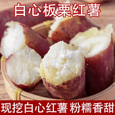 新鲜现挖白心红薯粉面干香老品种红皮白瓤板栗地瓜白薯山芋