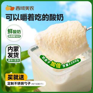 西域美农plus欧若姆鲜奶皮酸奶奶皮子200g送勺子专利菌发酵高钙