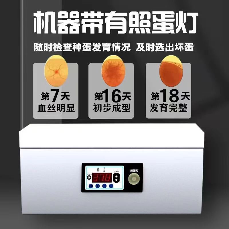 全自动控温智能水床孵化器鸡鸭鹅鸟类孵蛋器家用小型全套恒温孵化