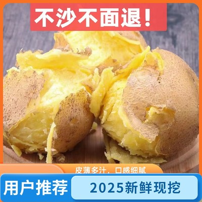 2025甘肃定西土豆高山农家沙面马铃薯黄皮黄心粉面新鲜现挖洋芋