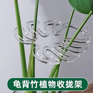 【拍1发3】龟背竹支撑杆春羽绿植固定器花架植物枝干收拢防倒伏支