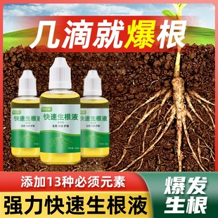 贝可施快速生根液粉剂移栽扦插生根水营养液植物通用强力多肉壮苗