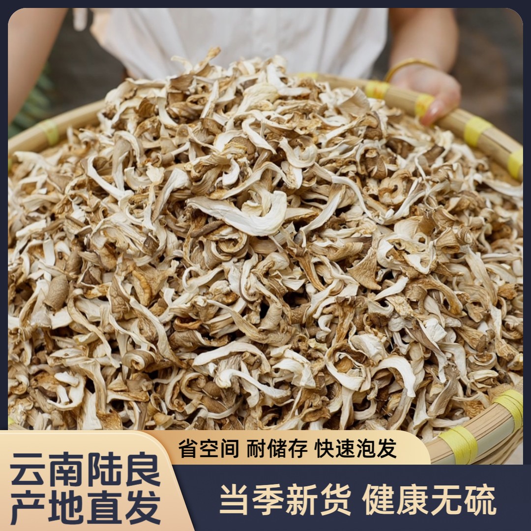 云南特产精品农家平菇干货干净无杂凤尾菇散装菌菇净重发货