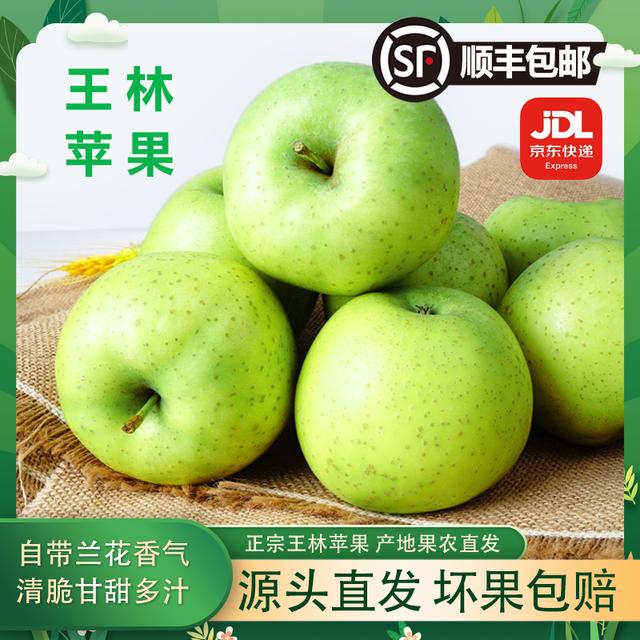 【京东、顺丰发货】王林苹果雀斑苹果绿色食品新鲜苹果3.8-9斤