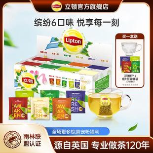 【6口味礼盒装】立顿茶包红茶绿茶茉莉花乌龙独立包装80包组合