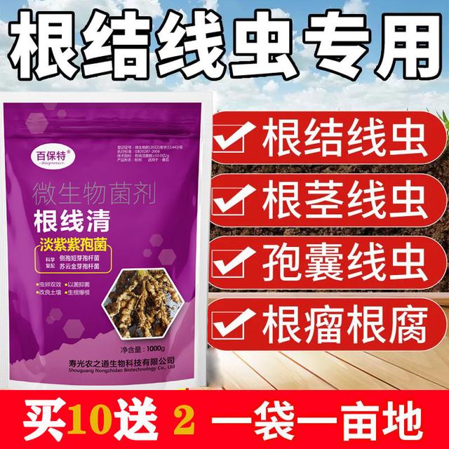 根结线虫专用淡紫紫孢菌大包装根植物线虫冲施1000克根线清