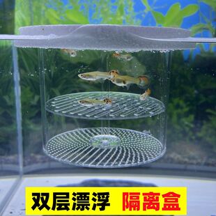 鱼宝宝隔离盒鱼缸孵化器漂浮隔离盒鱼缸孵化盒孔雀鱼繁殖隔离盒鱼