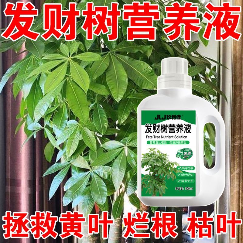 绿植营养液发财树营养液肥料专用肥花卉绿植营养液植物肥肥料水溶