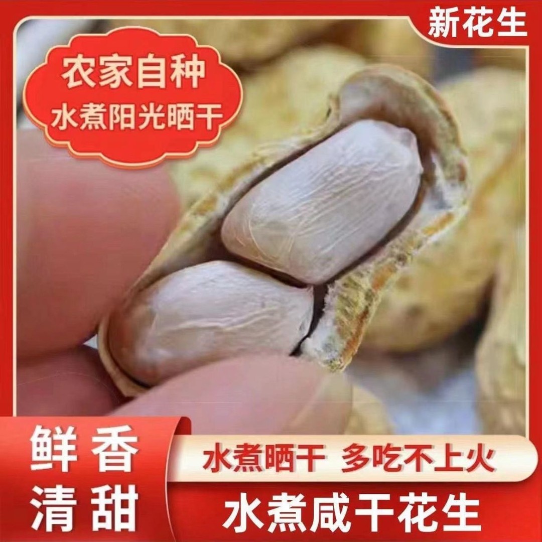 拍3斤送1斤忠信水煮花生日晒白玉咸干咸味花生解馋带壳小零食