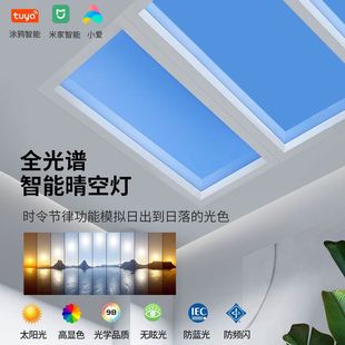超薄天空灯集成吊顶青空灯厨房卫生间天窗蓝天灯仿太阳晴空灯