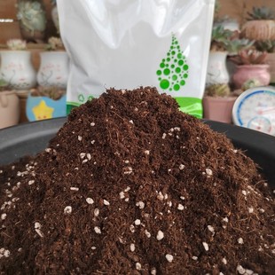 云#【品氏泥碳基质】多肉/法师小苗培育 泥炭品氏  叶插繁殖等