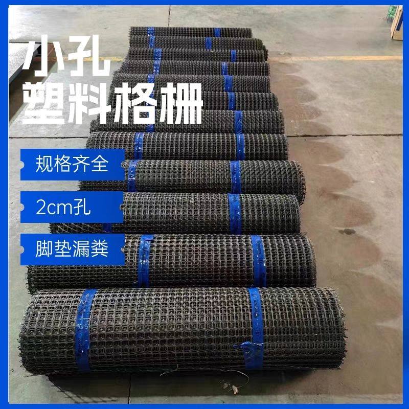 聚乙烯小孔塑料格栅加厚孔径2cm养殖网养鸡养鸭脚垫脚踏漏粪,畜牧/养殖物资,养鸡网,淘宝优惠券,粉丝福利购,淘宝优惠卷