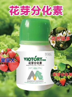 花芽分化素授粉开花现蕾分化细胞分裂草莓黄瓜果树番茄保花