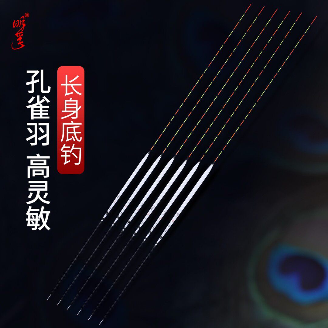 明孚去壳孔雀羽细长身翻身到底快浮漂