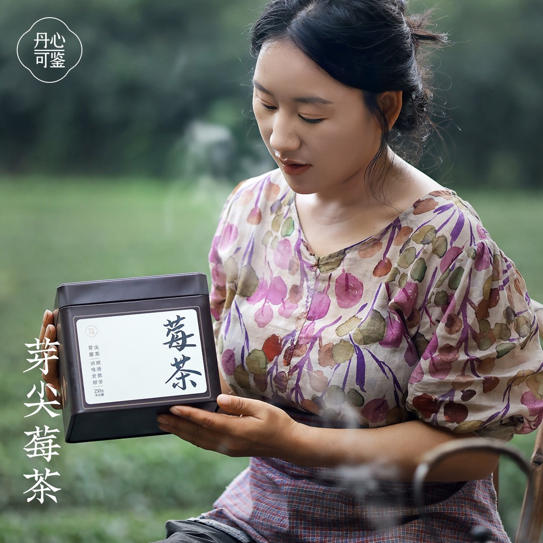 丹心可鉴张家界芽尖莓茶250一罐