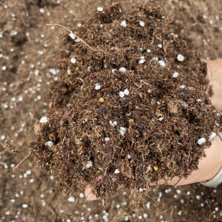 黑哥的花园品氏泥炭通用型营养土透水透气酸性土壤适合养花种菜