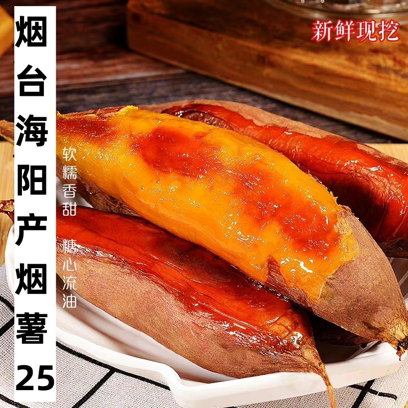 农科院烟薯25号沙地红薯烤地瓜糖心流油蜜薯烟台海阳产番薯地瓜