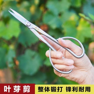 辛禾不锈钢叶芽剪嫩叶剪小叶剪盆景修剪工具园艺剪刀盆栽修枝剪