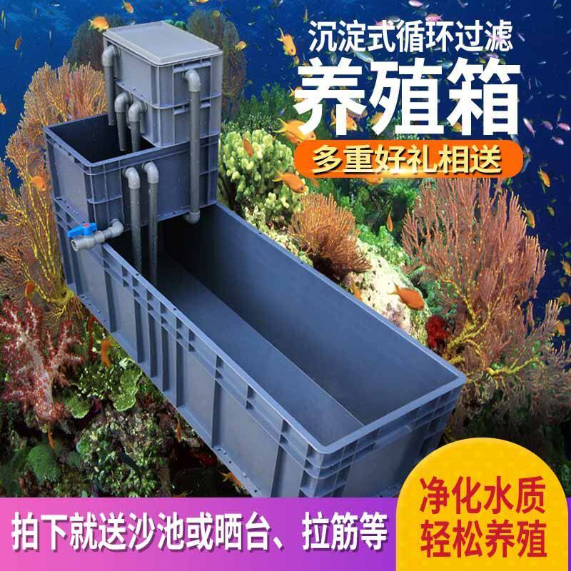 养龟箱带循环沼泽过滤塑料鱼缸养殖箱带晒台水陆两栖巴西鳄龟池缸图片