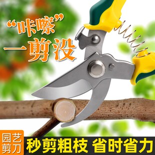 剪刀修枝家用花艺园艺强力粗枝果树园林工具摘果疏果专用修枝剪