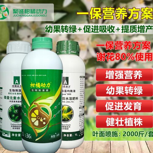 柑橘动力保果一保二保营养方案促进发育绿果绿叶加快膨果果柄增粗