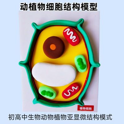 植物细胞和动物细胞模型初高中生物七年级下册手工作业立体成品