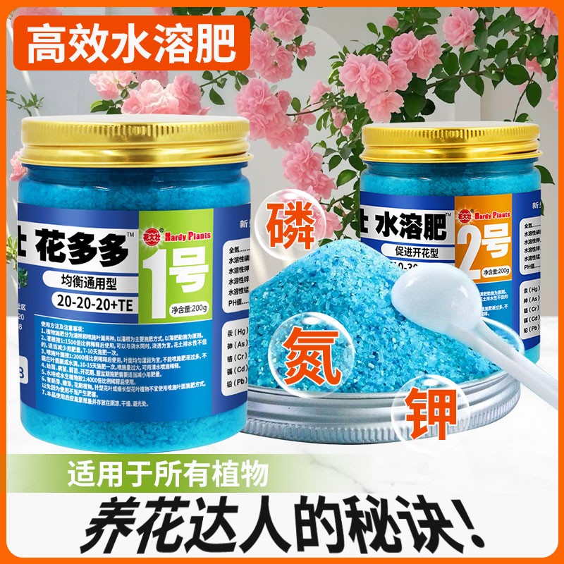 花大壮促花花卉月季绿植多肉家用微量元素栀子花花多多花多多2号图片