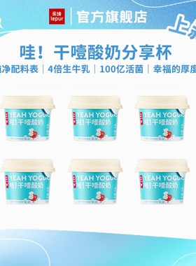 干噎酸奶100g乐纯希腊酸奶冷萃酸奶杨枝甘露固体酸奶上班充饥dsp