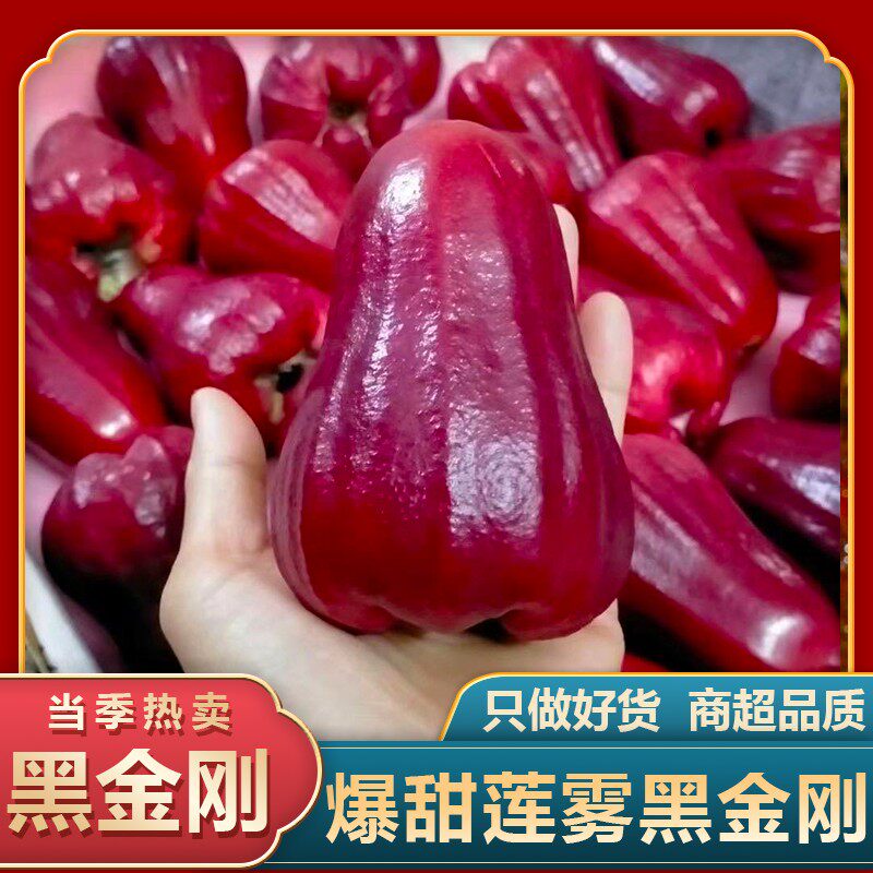 顺丰包邮海南黑金刚莲雾果2-5斤新鲜热带水果特产精选水果多汁