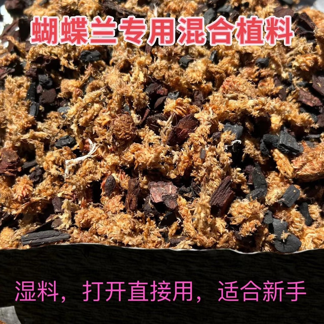 蝴蝶兰专用智利水苔树皮木炭混合型配方圆形湿料适合新手使用兰花