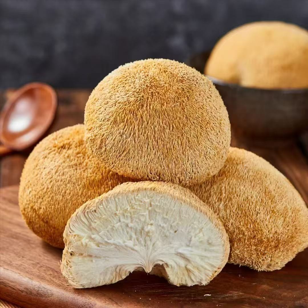250g猴头菇干货2025新货古田菌菇新鲜猴头菇煲汤食材