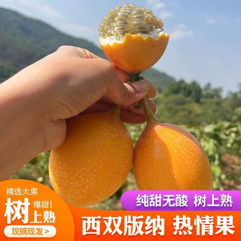 热情果云南西双版纳热情果爱情果新鲜采摘热带水果现摘