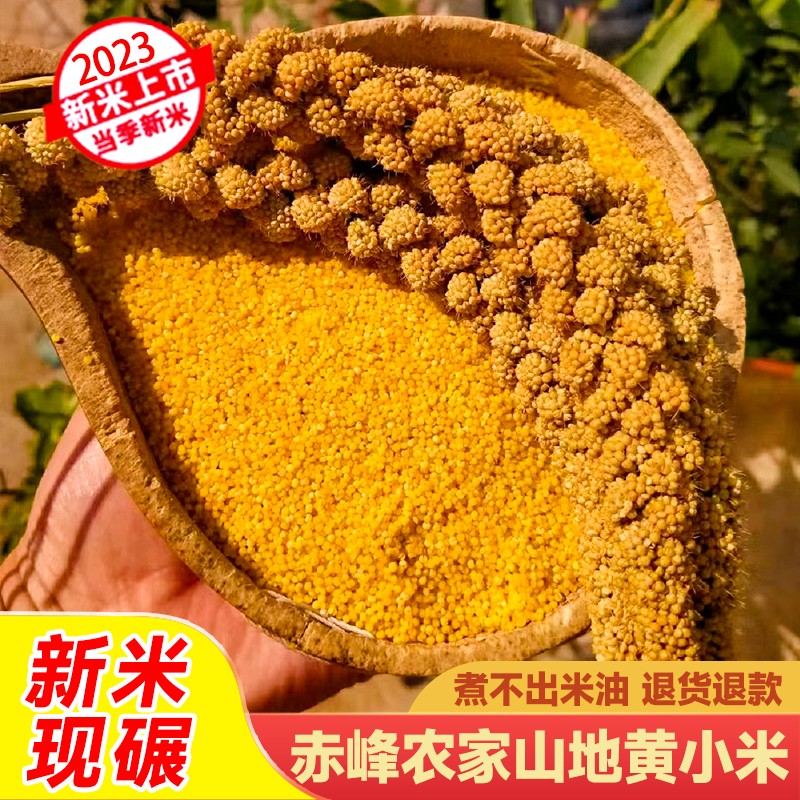 25年新粮食支持试吃内蒙古赤峰金苗k1 3/5斤黄小米五谷杂粮小米粥