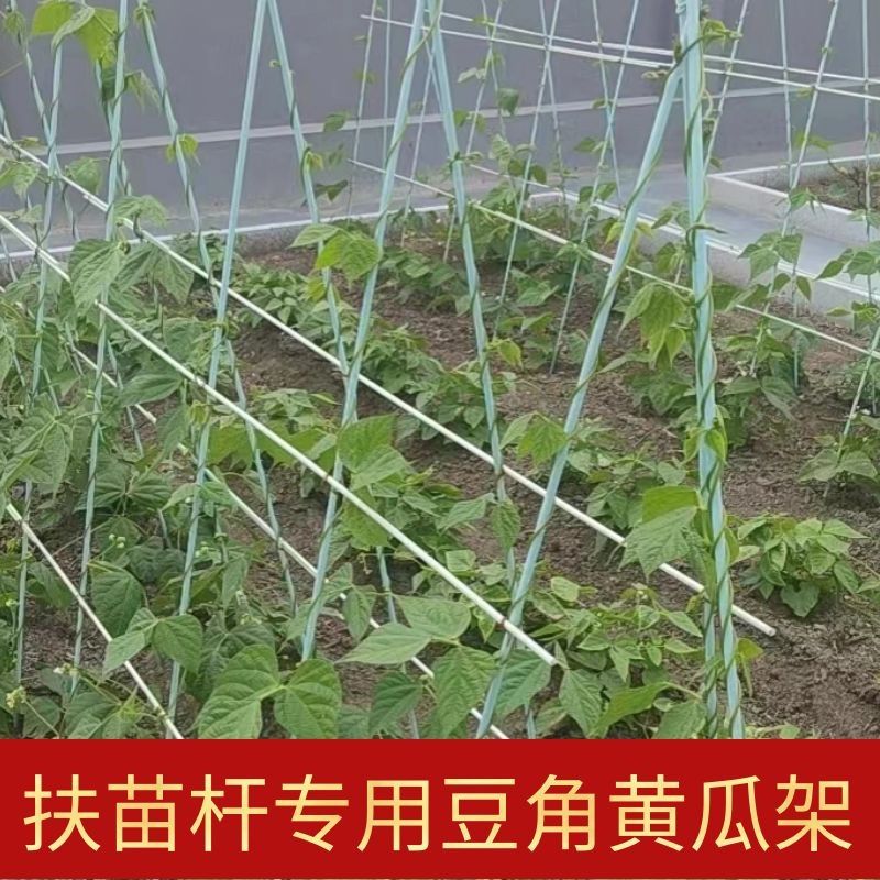 花架爬藤支架杆种菜架子黄瓜架葡萄架番茄爬架花盆支柱包塑钢管