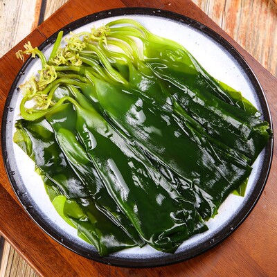 霞浦海带苗 海带嫩苗脆苗 火锅菜凉拌菜煮汤鲜嫩脆爽盐渍新鲜营养