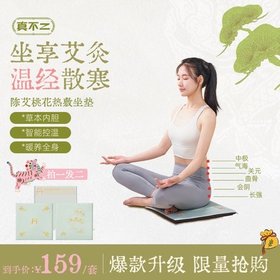 真不二爆款陈艾热敷草本发热久坐护腰一垫多用多功能四季通用坐垫