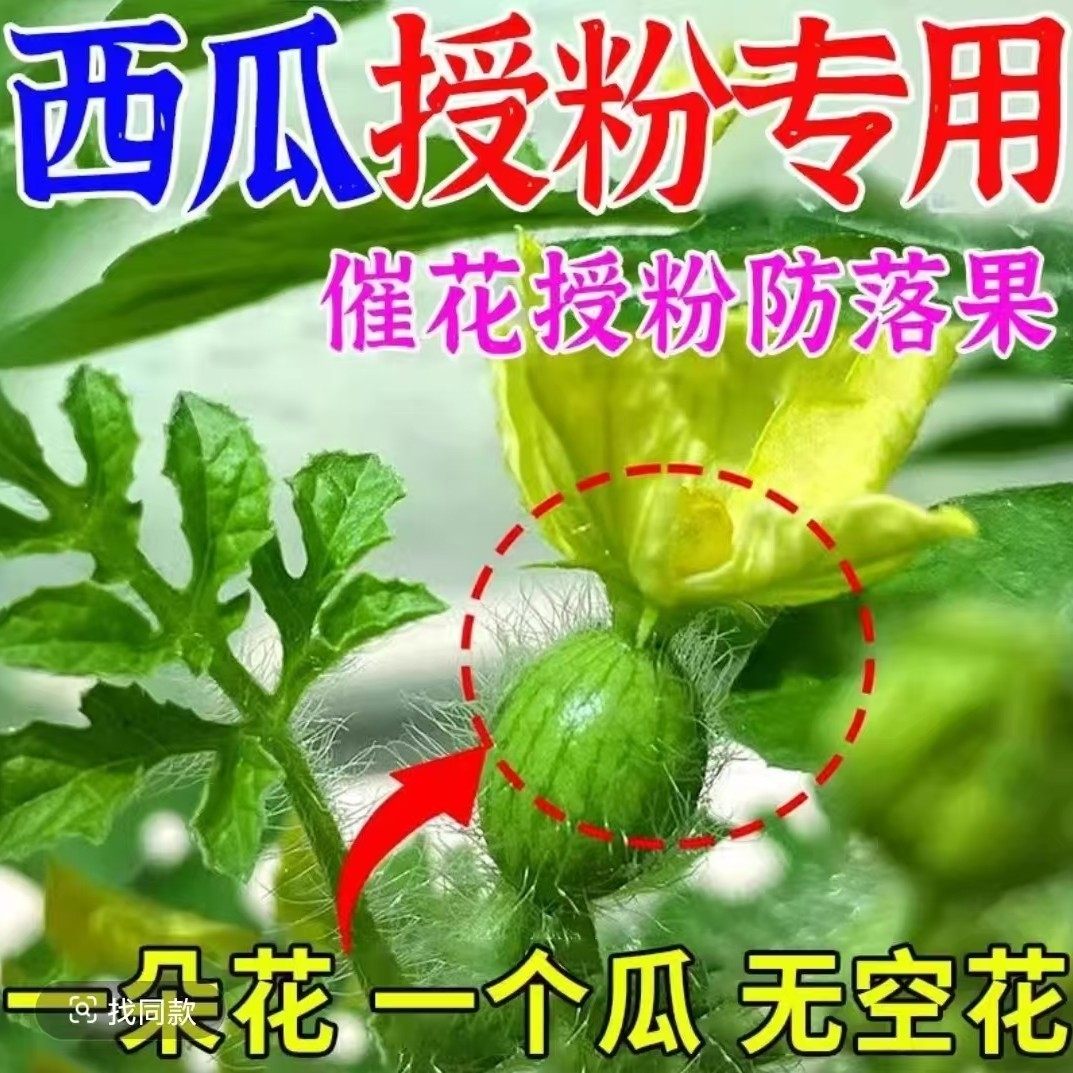 西瓜专用坐果灵授粉神器提高坐果率阴天不影响座果率起果迅速,农用物资,叶面肥,淘宝优惠券,粉丝福利购,淘宝优惠卷