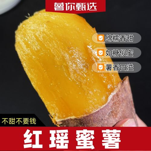 本店爆品山东蜜薯甄选品正宗红瑶红薯软糯香甜番薯糖心蜜甜