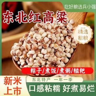 兵小强东北红粘高粱米2025年农家新米粘糯高粱特产五谷杂粮新米