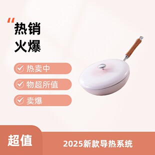 YANZAO/焱造铸铁珐琅锅32爆爆锅