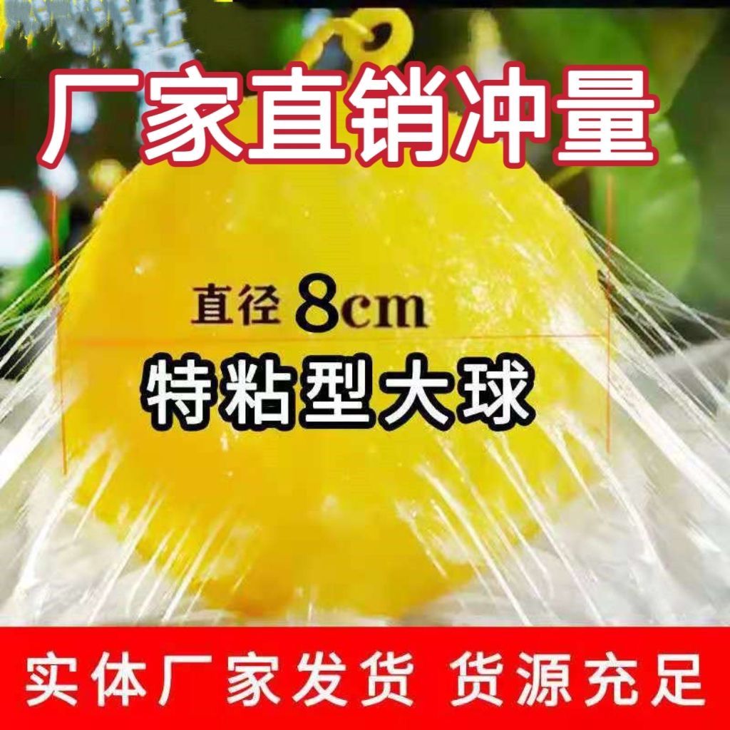 达宜农果树柑橘诱蝇球果实蝇大小实蝇针锋菜园诱粘球果蝇球诱捕器