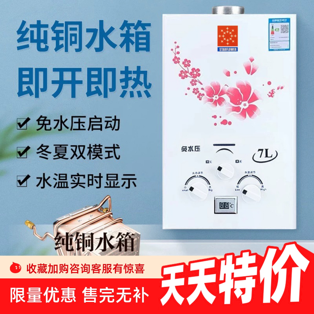 煤气热水器家用宿舍天然气液化气出租房免水压用强排式10升8升电