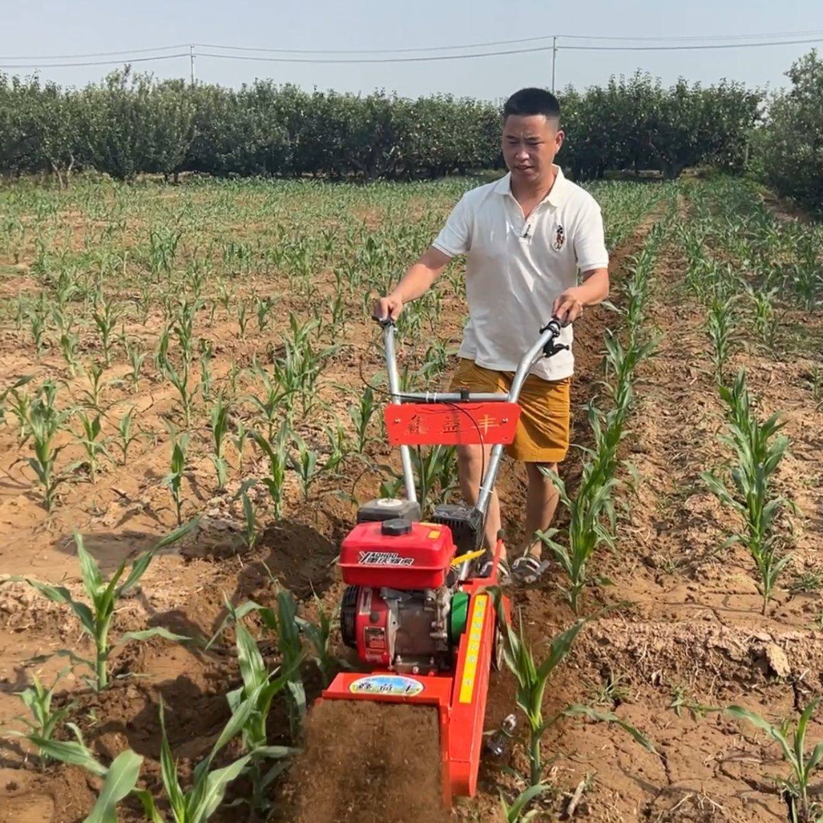 四驱汽油单轮锄草多功能小型除草旋耕机自走式家用大马力果园开沟,农机/农具/农膜,耕种机械/微耕机/开沟机,淘宝优惠券,粉丝福利购,淘宝优惠卷