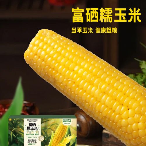富硒玉米试吃2根2025头茬正宗东北黄糯玉米软糯香甜10支