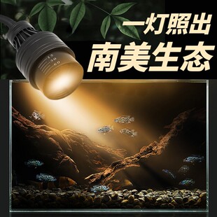 索迪工厂南美缸射灯鱼缸led造景照明专用灯夹灯水草变焦雷龙原生