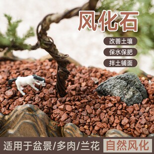 风化土颗粒风化石金弹子土扦插生根土茶花兰花渗水透气营养土酸性